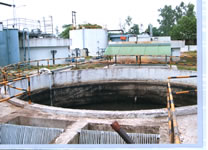 ETP Plant at food procesing Industry