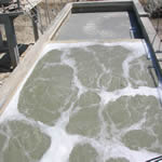 Gelatin Manufacturing Company