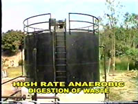 Kitchen Waste